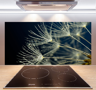 Cooker splashback Dandelion seeds