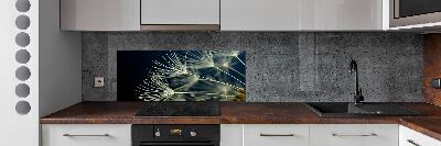 Cooker splashback Dandelion seeds