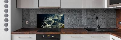 Cooker splashback Dandelion seeds