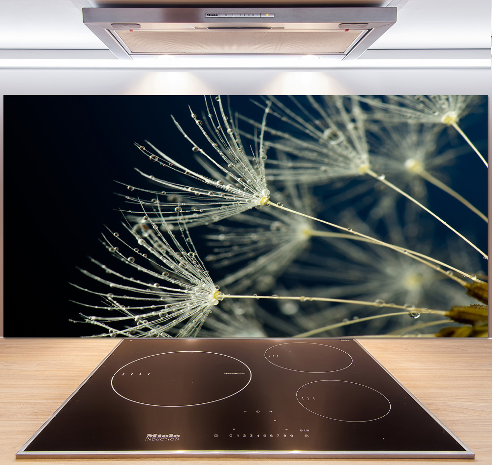 Cooker splashback Dandelion seeds