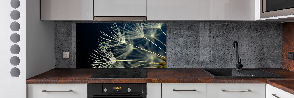 Cooker splashback Dandelion seeds