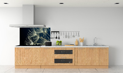 Cooker splashback Dandelion seeds