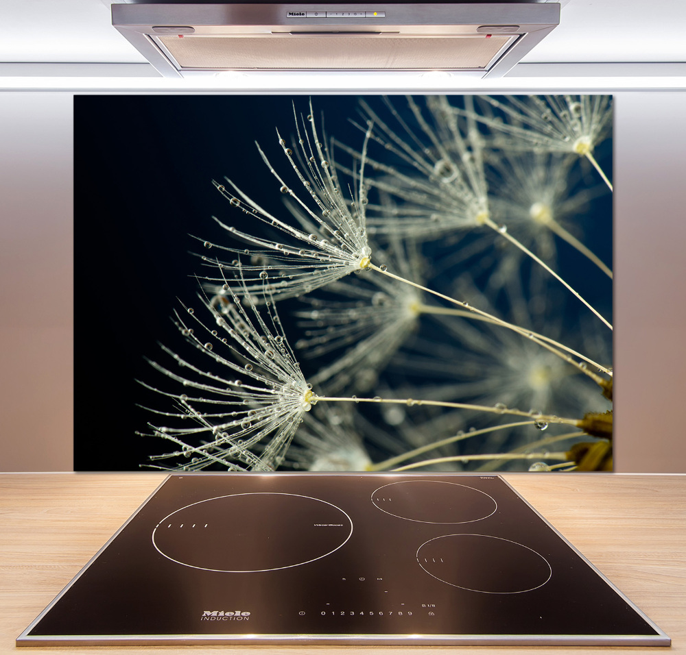 Cooker splashback Dandelion seeds