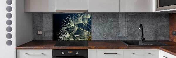 Cooker splashback Dandelion seeds