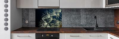 Cooker splashback Dandelion seeds