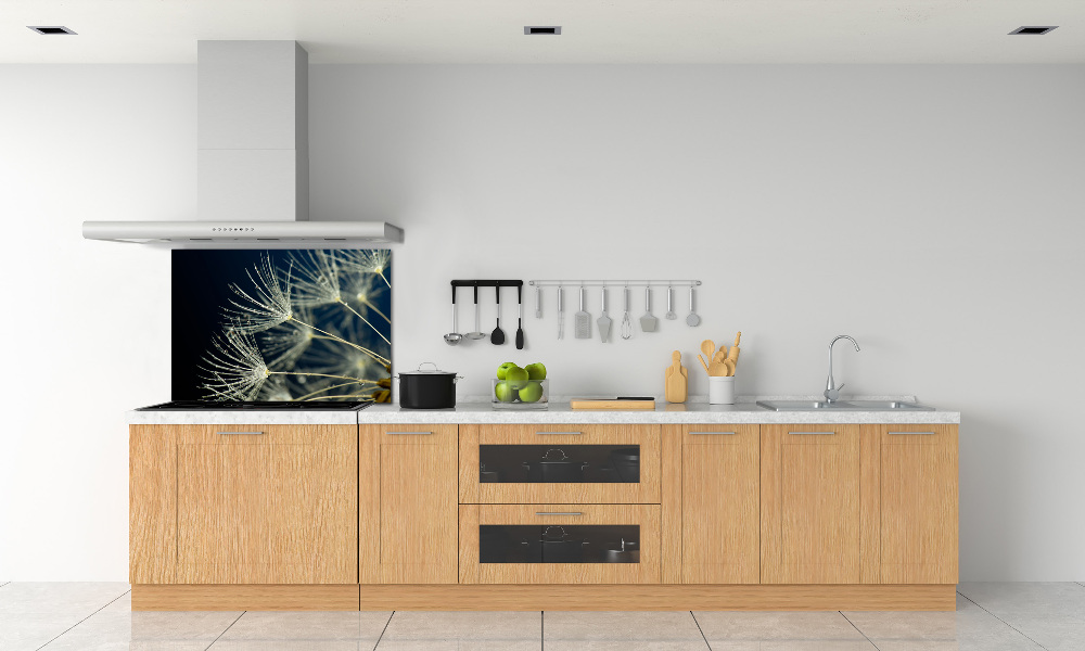 Cooker splashback Dandelion seeds