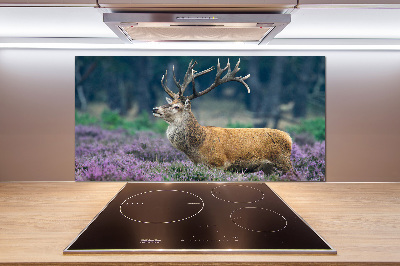 Glass splashback Deer among lavender