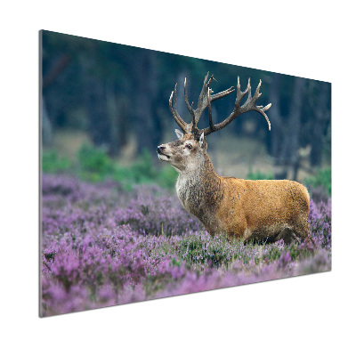 Glass splashback Deer among lavender