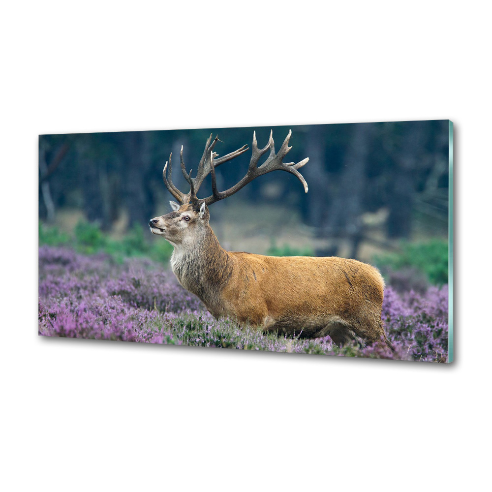 Glass splashback Deer among lavender