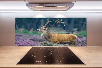 Glass splashback Deer among lavender