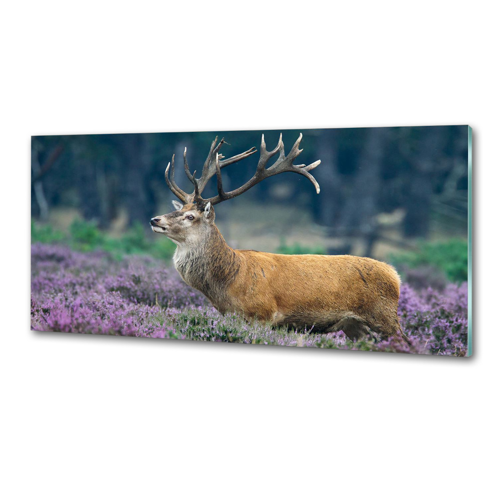 Glass splashback Deer among lavender