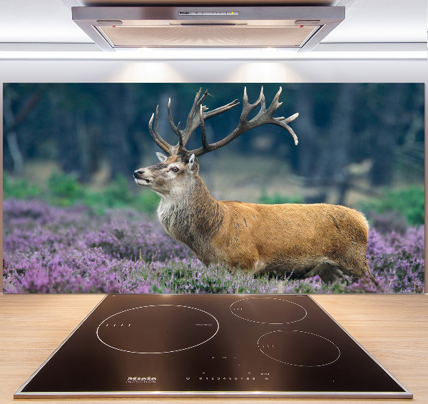 Glass splashback Deer among lavender