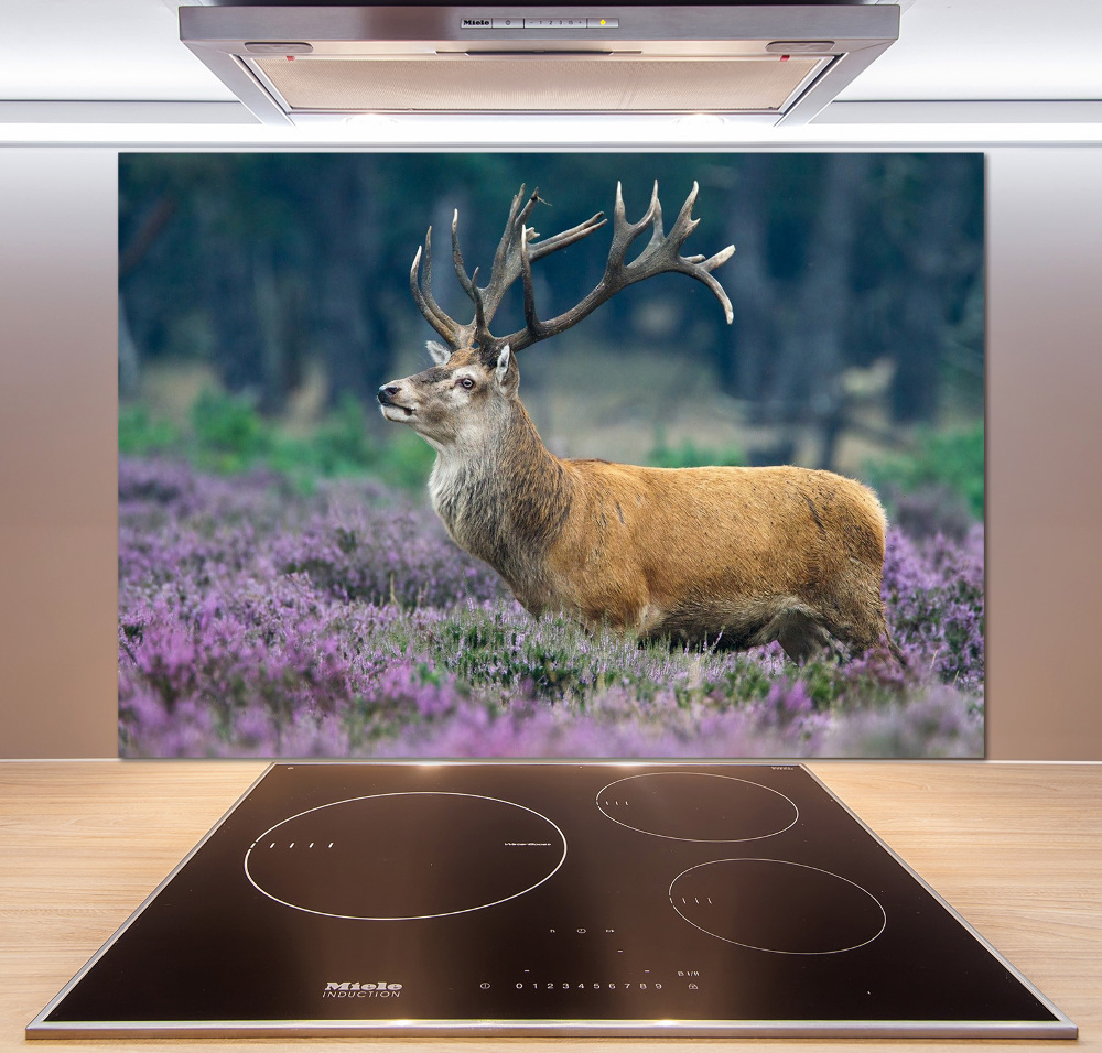 Glass splashback Deer among lavender