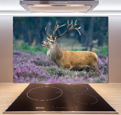 Glass splashback Deer among lavender