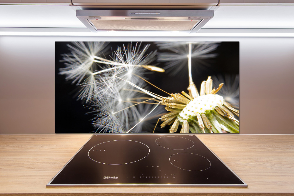 Cooker splashback Dandelion seeds