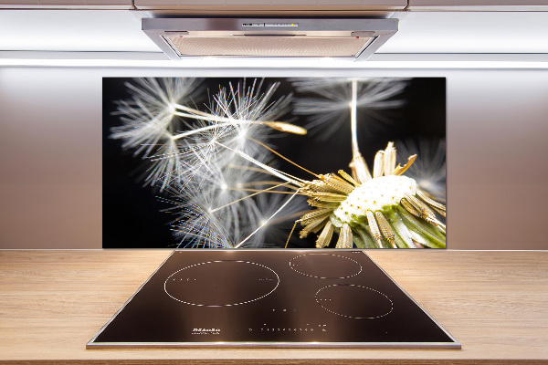 Cooker splashback Dandelion seeds