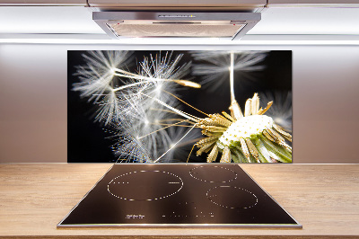 Cooker splashback Dandelion seeds