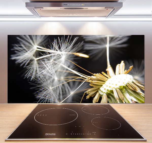 Cooker splashback Dandelion seeds