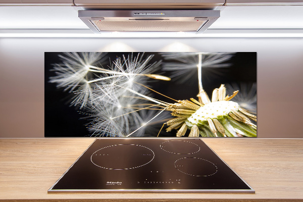 Cooker splashback Dandelion seeds