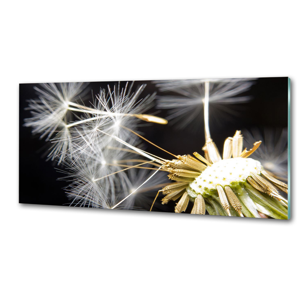 Cooker splashback Dandelion seeds