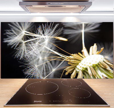 Cooker splashback Dandelion seeds