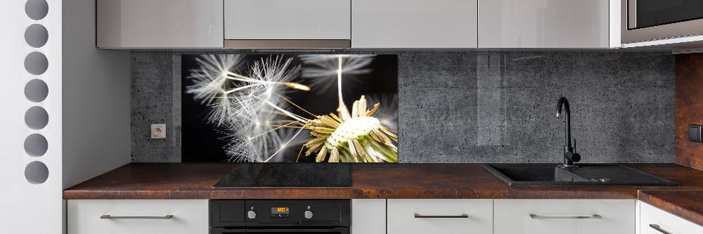 Cooker splashback Dandelion seeds