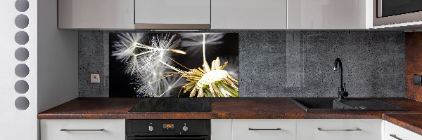 Cooker splashback Dandelion seeds