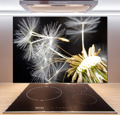 Cooker splashback Dandelion seeds