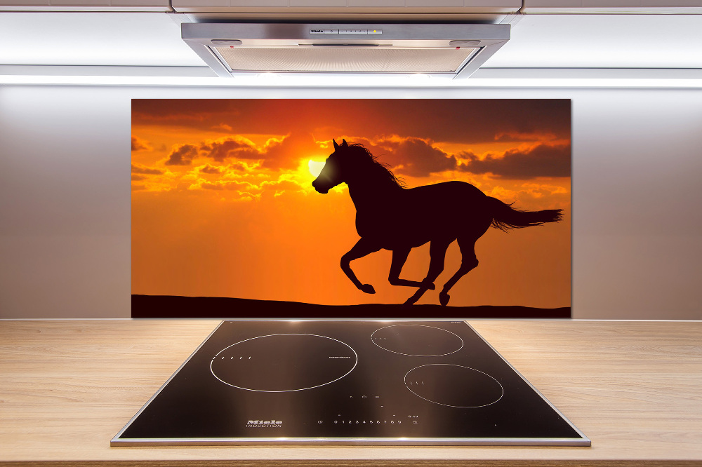 Cooker splashback Sunset horse