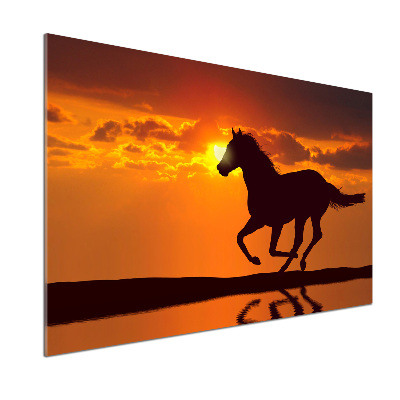 Cooker splashback Sunset horse