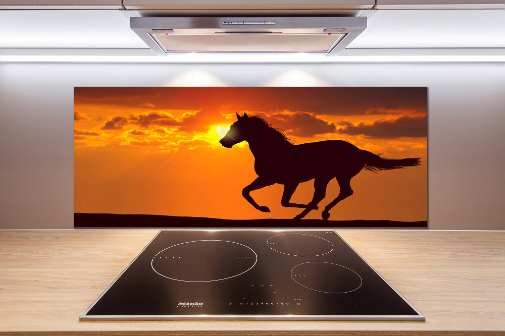 Cooker splashback Sunset horse