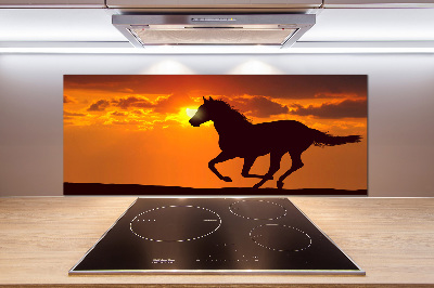 Cooker splashback Sunset horse