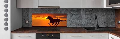 Cooker splashback Sunset horse