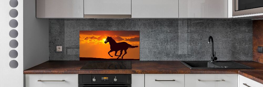 Cooker splashback Sunset horse