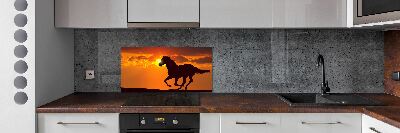 Cooker splashback Sunset horse