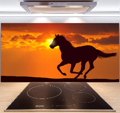 Cooker splashback Sunset horse