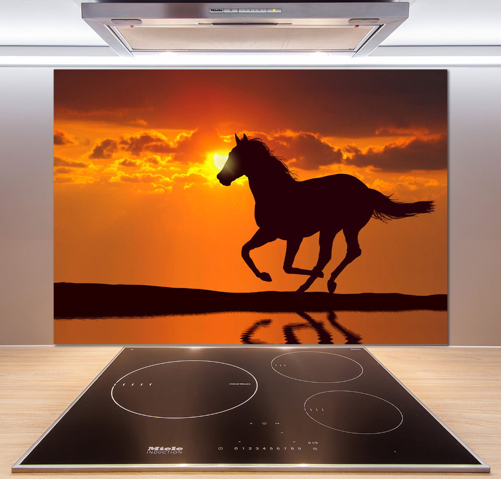 Cooker splashback Sunset horse