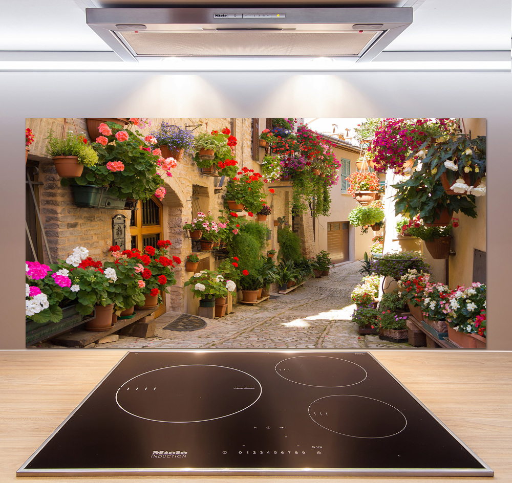 Cooker splashback Charming street