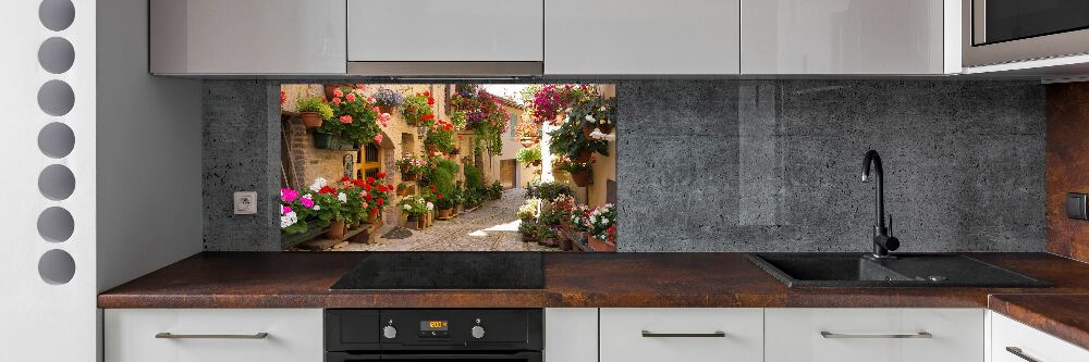 Cooker splashback Charming street