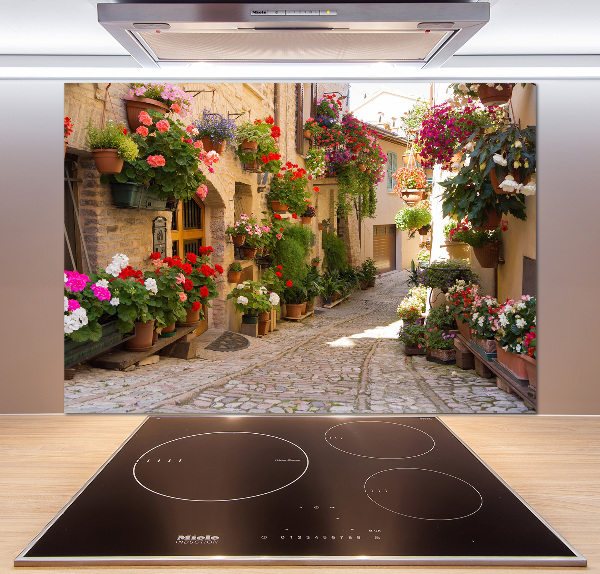 Cooker splashback Charming street