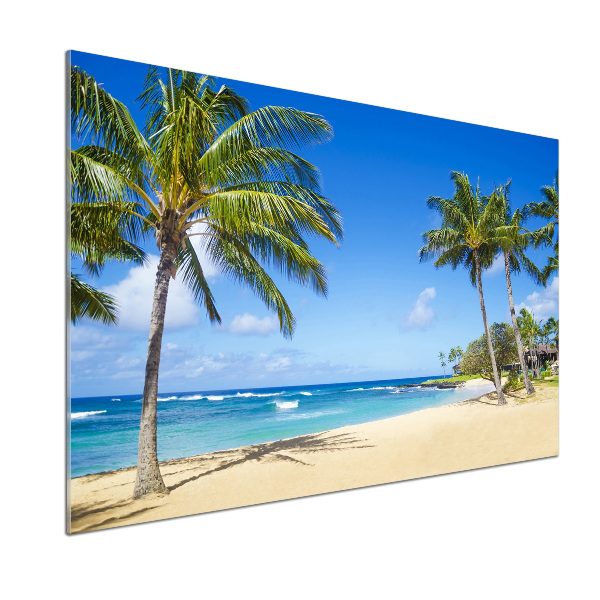 Cooker splashback Tropical beach