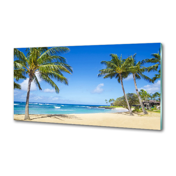 Cooker splashback Tropical beach