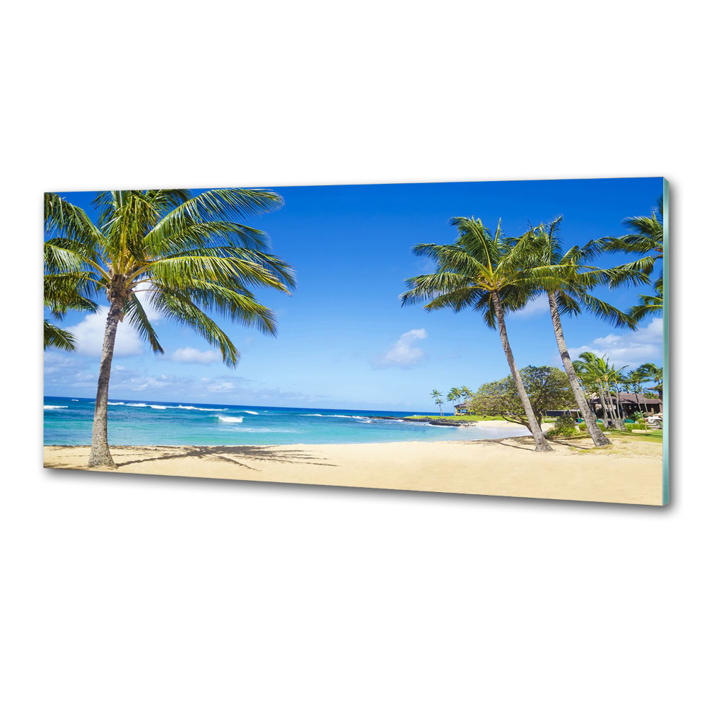 Cooker splashback Tropical beach