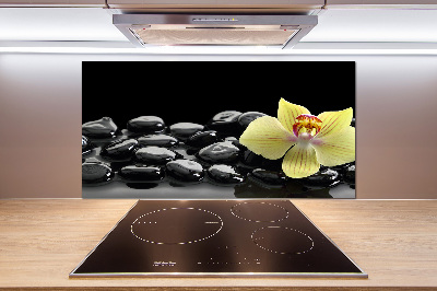 Cooker splashback Orchid