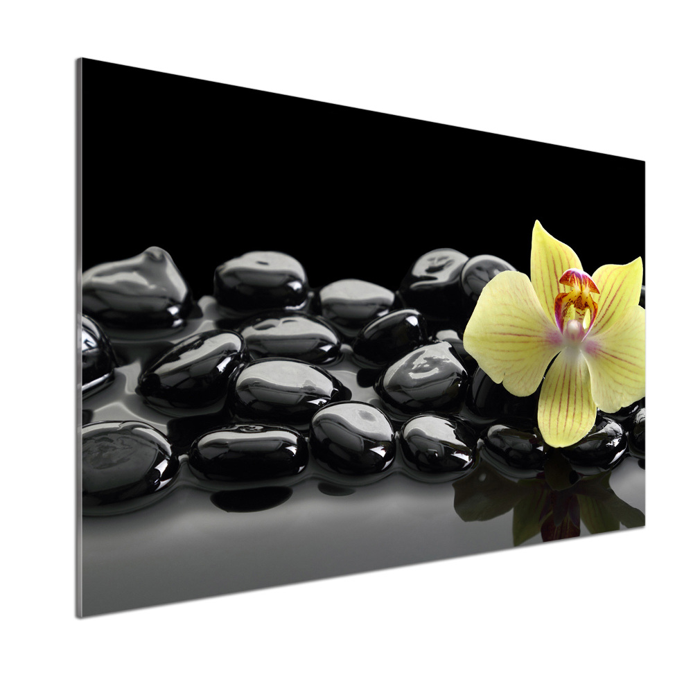 Cooker splashback Orchid