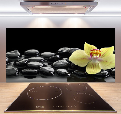 Cooker splashback Orchid