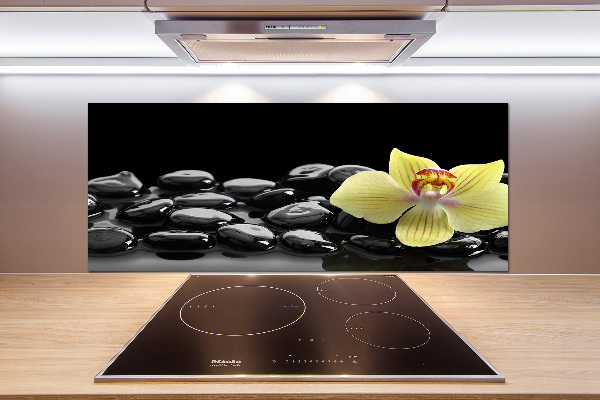 Cooker splashback Orchid