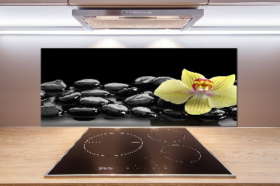 Cooker splashback Orchid