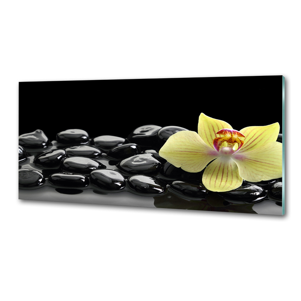 Cooker splashback Orchid