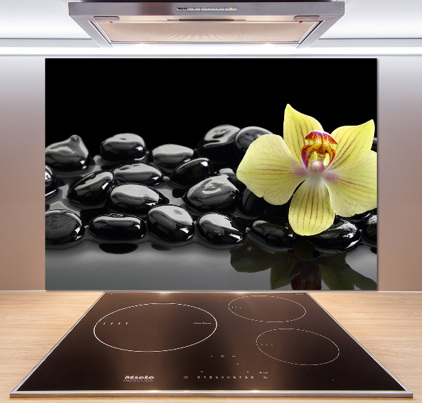 Cooker splashback Orchid